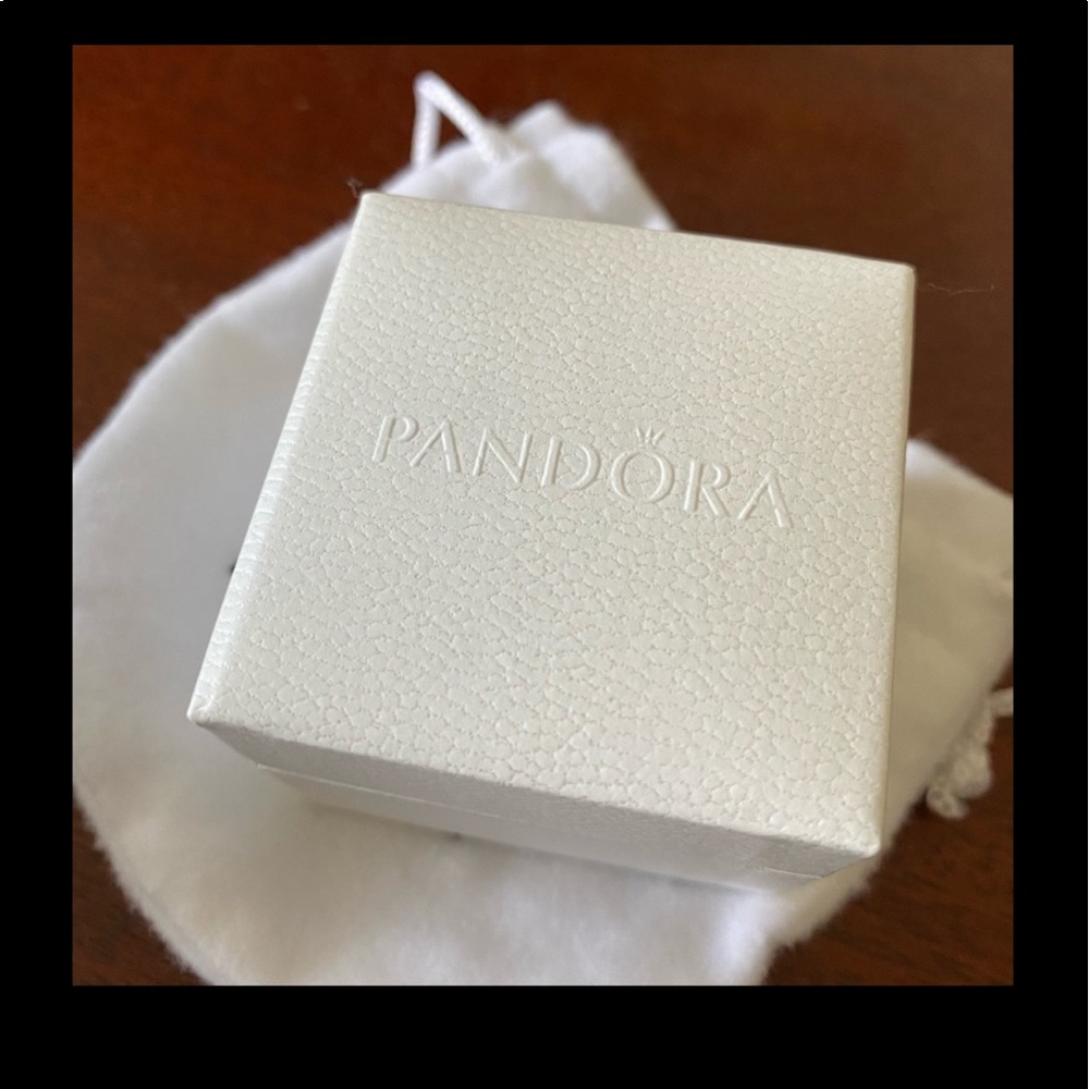 *SOLD* Pandora new Dog Paw Charm !